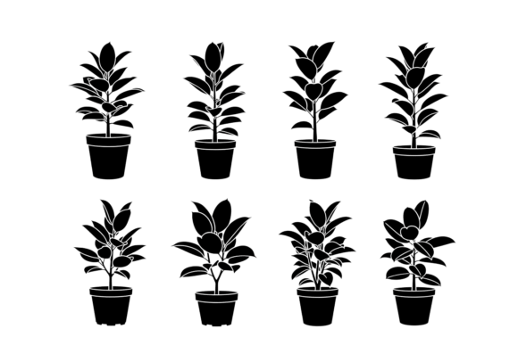 Rubber Plant Silhouette Clipart SVG: A Modern Graphic Design Asset for Blogs and Crafts